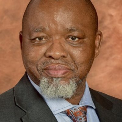 Minister_of_Mineral_Resources_and_Energy_Gwede_Mantashe